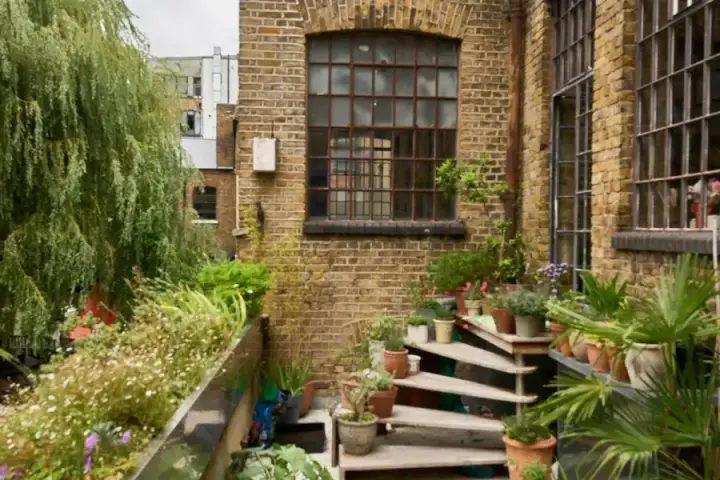 Image 12